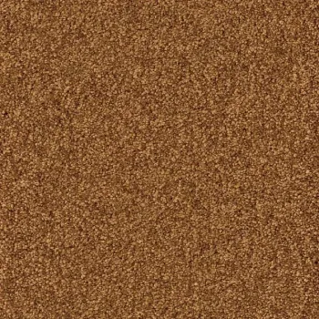 Draufsicht Girloon Cloud 280 Velours Teppichboden